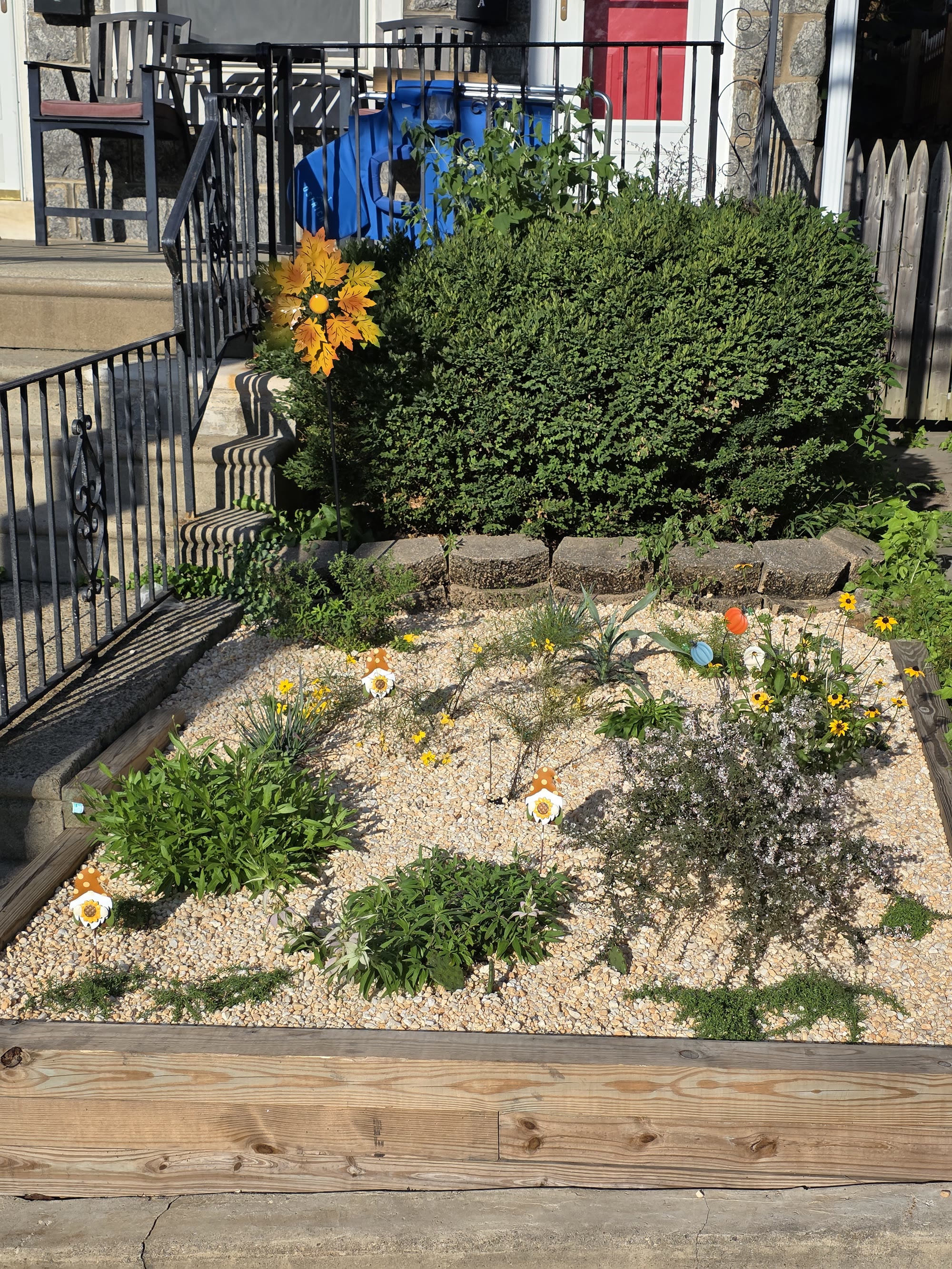 Native Plant Garden Packs