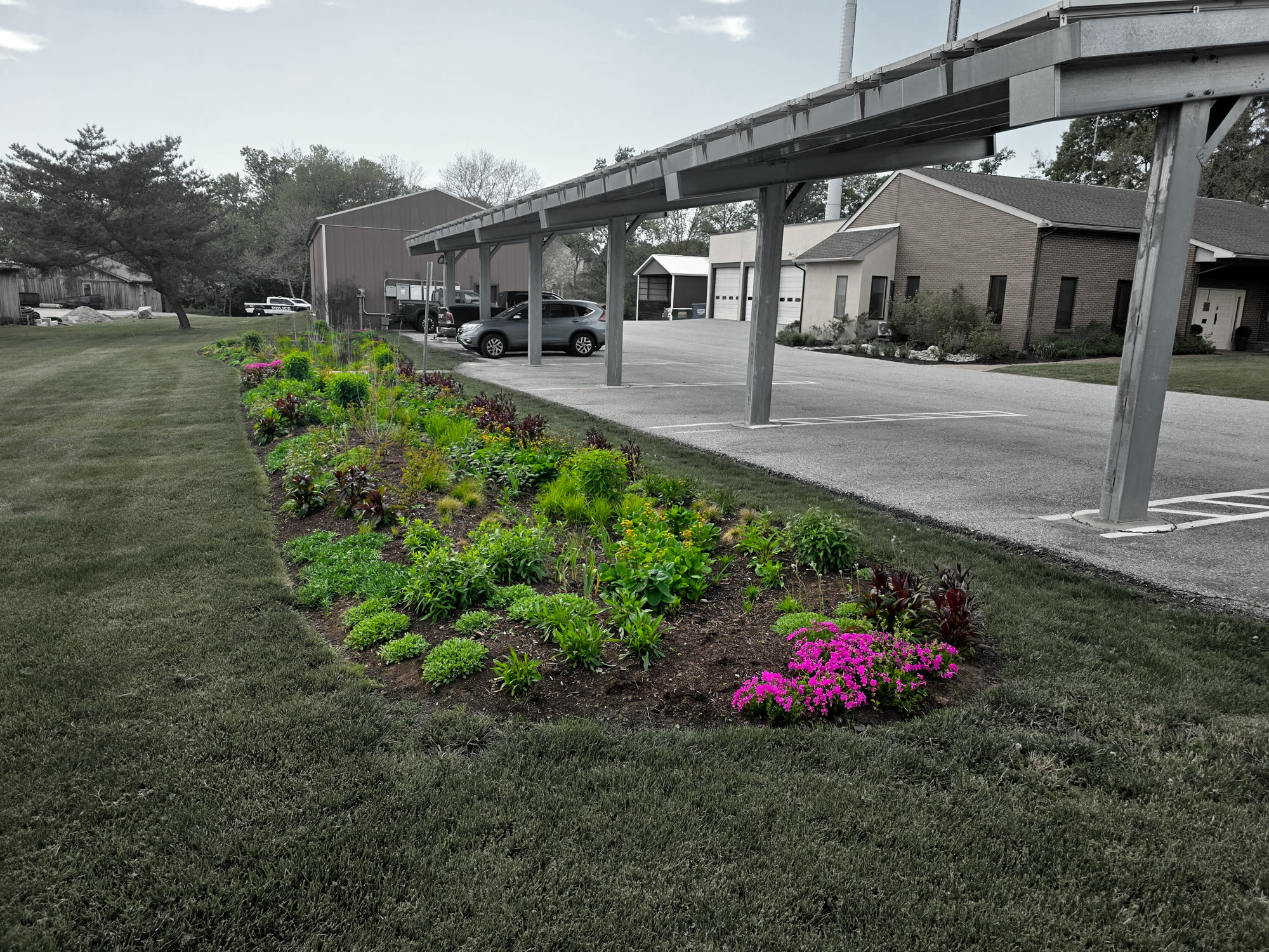 Municipal Bioswale & Rain Garden