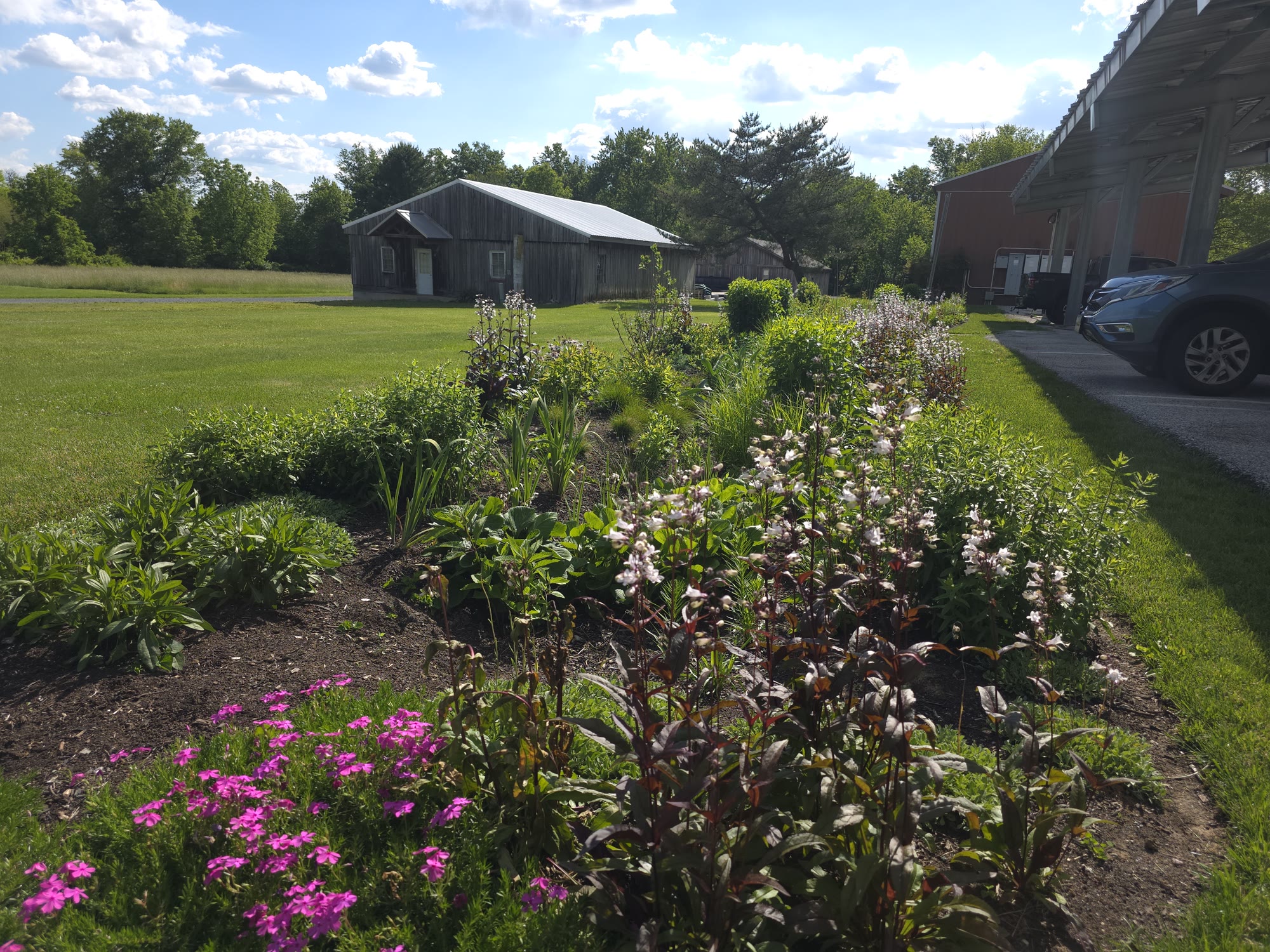 Municipal Bioswale & Rain Garden