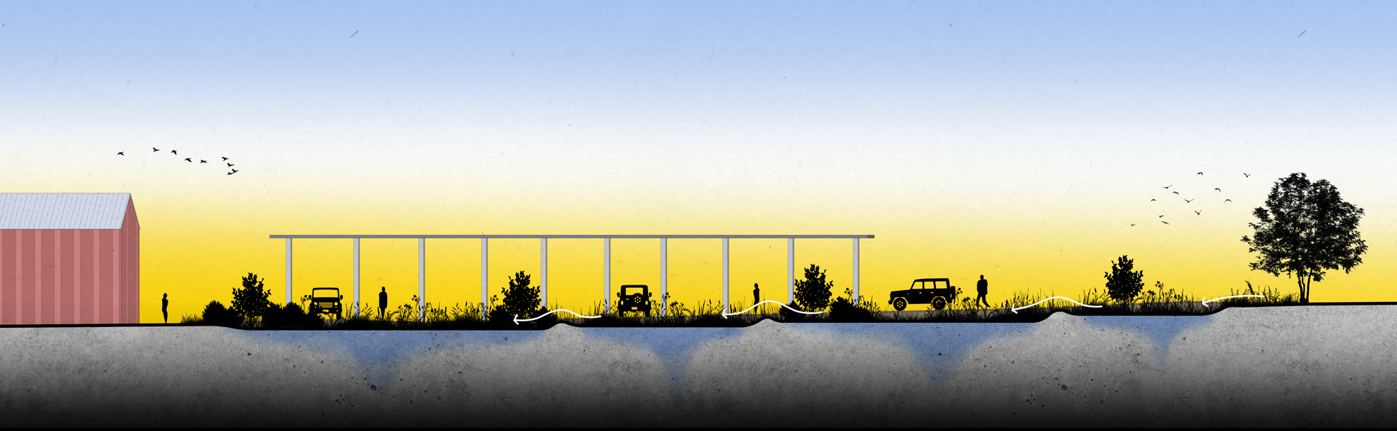 Municipal Bioswale & Rain Garden