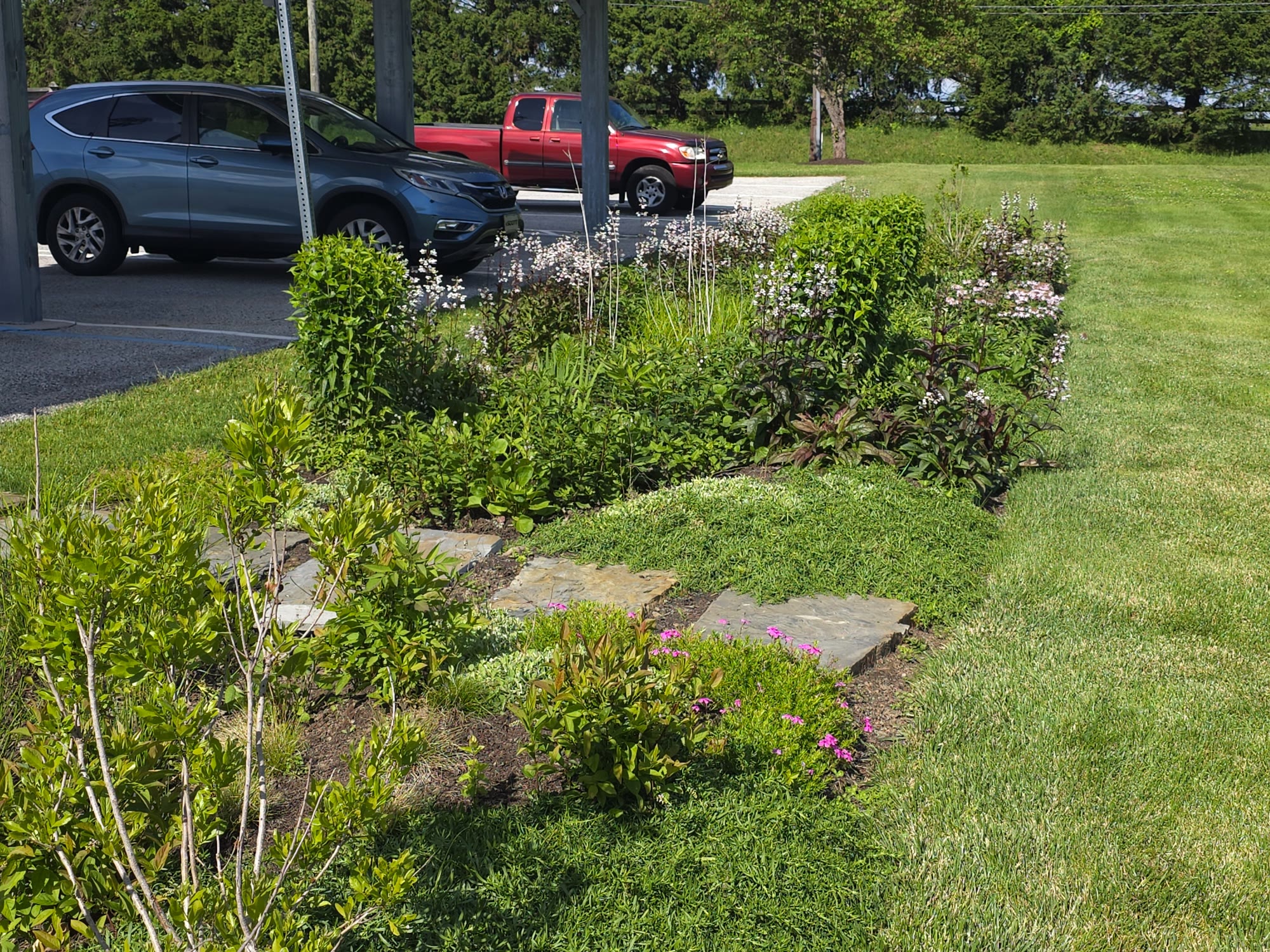 Municipal Bioswale & Rain Garden
