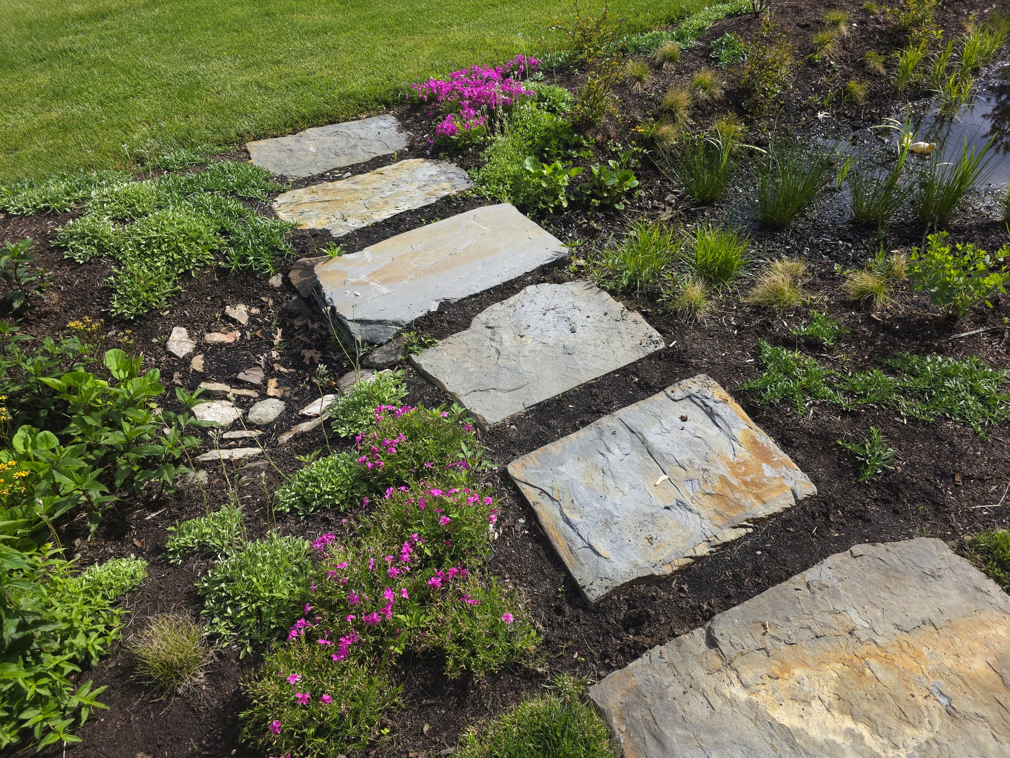 Municipal Bioswale & Rain Garden