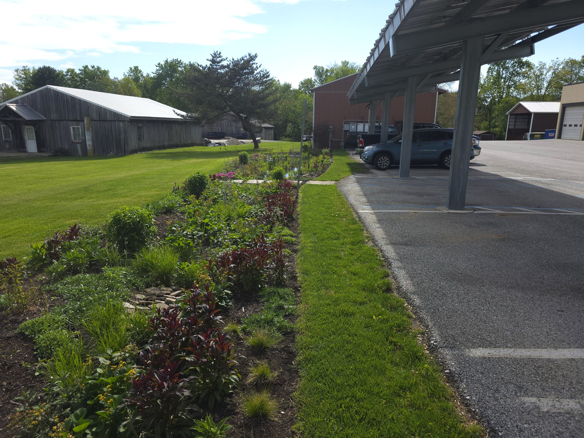 Municipal Bioswale & Rain Garden