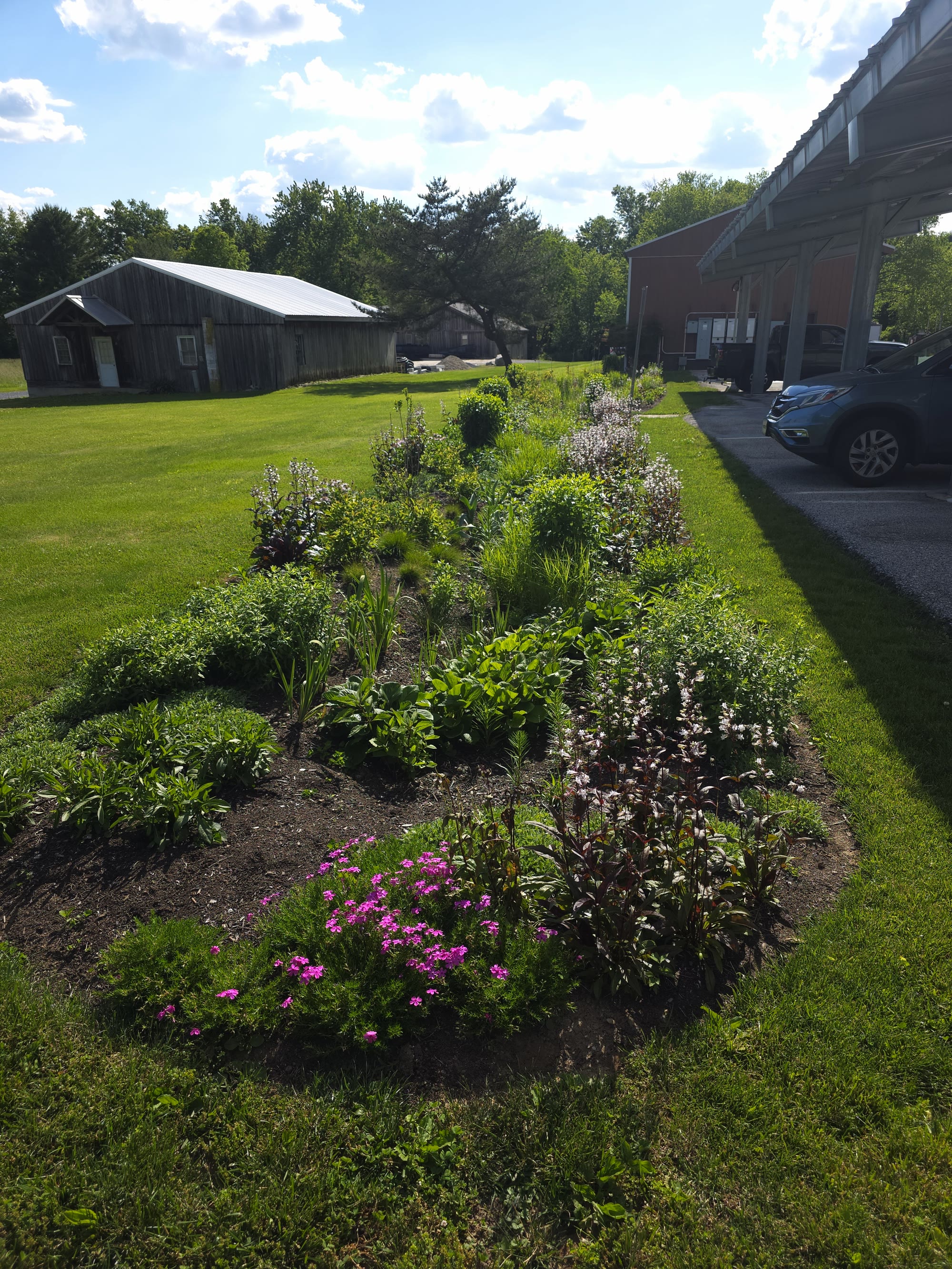 Municipal Bioswale & Rain Garden