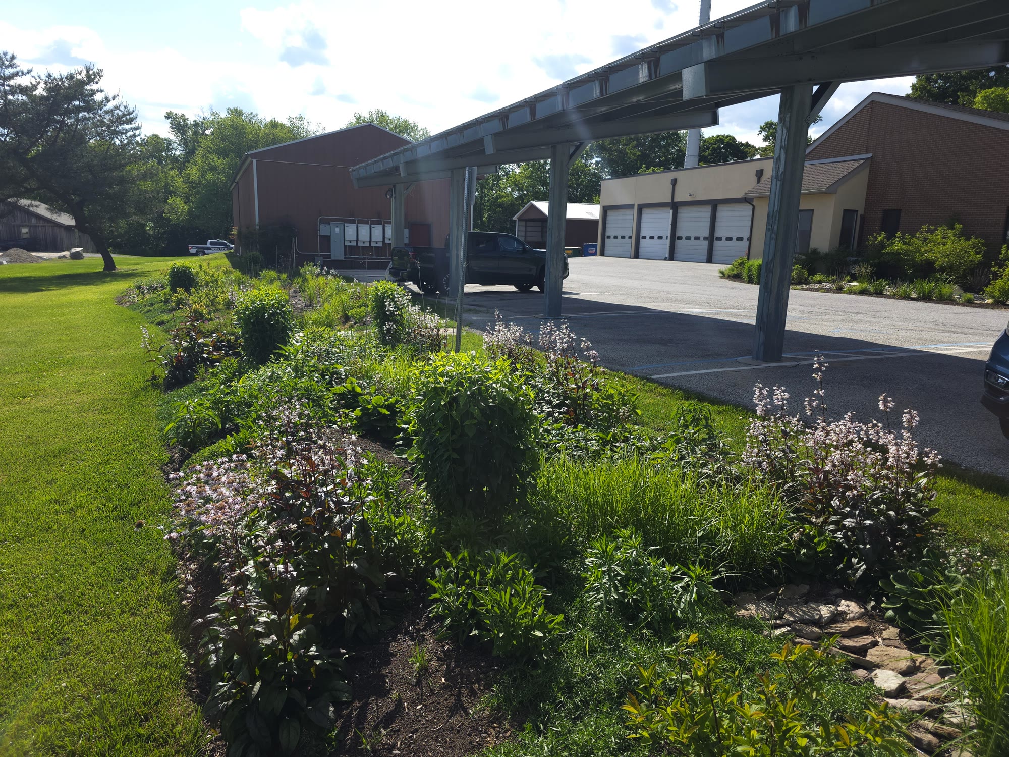 Municipal Bioswale & Rain Garden