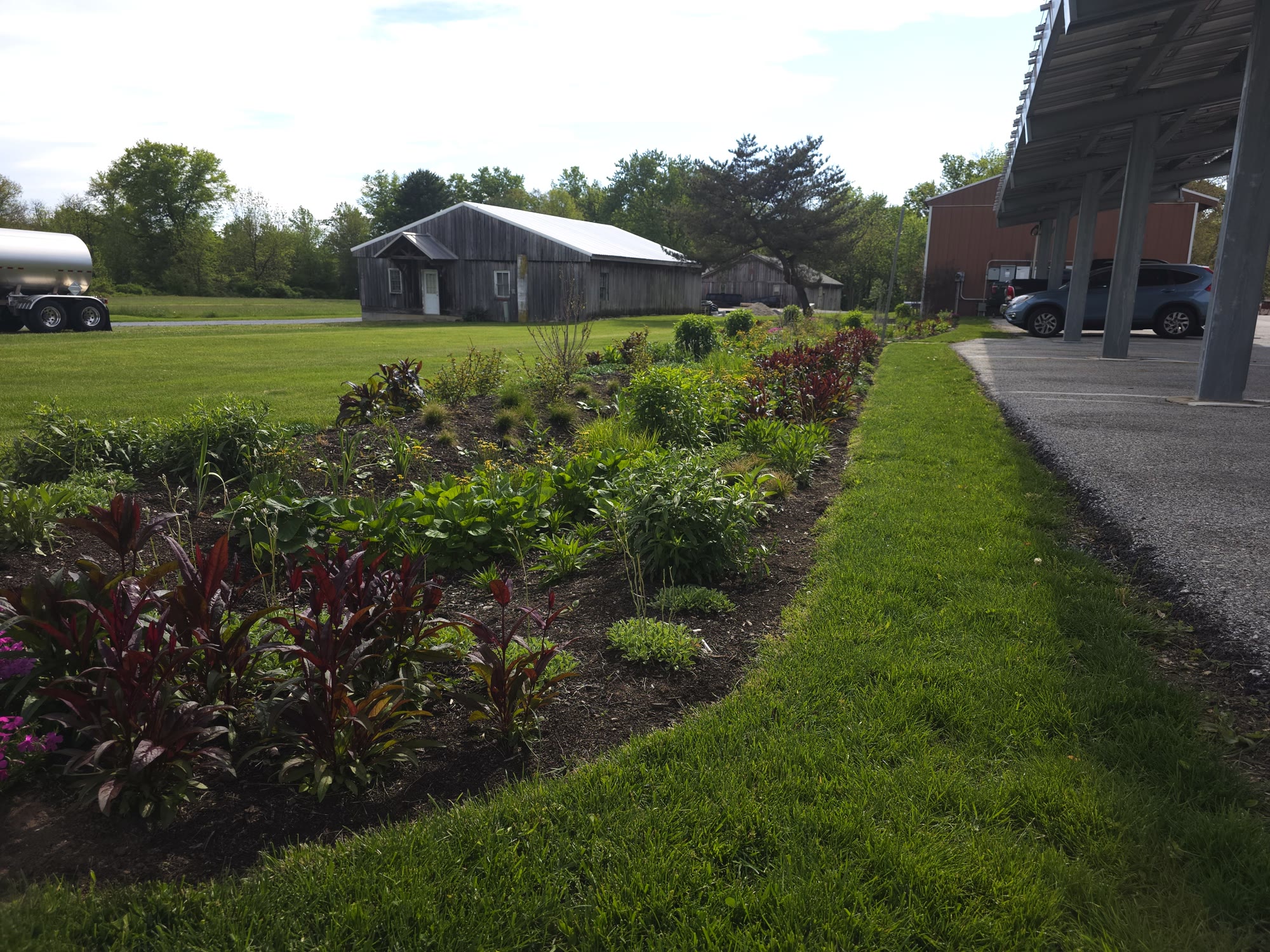 Municipal Bioswale & Rain Garden