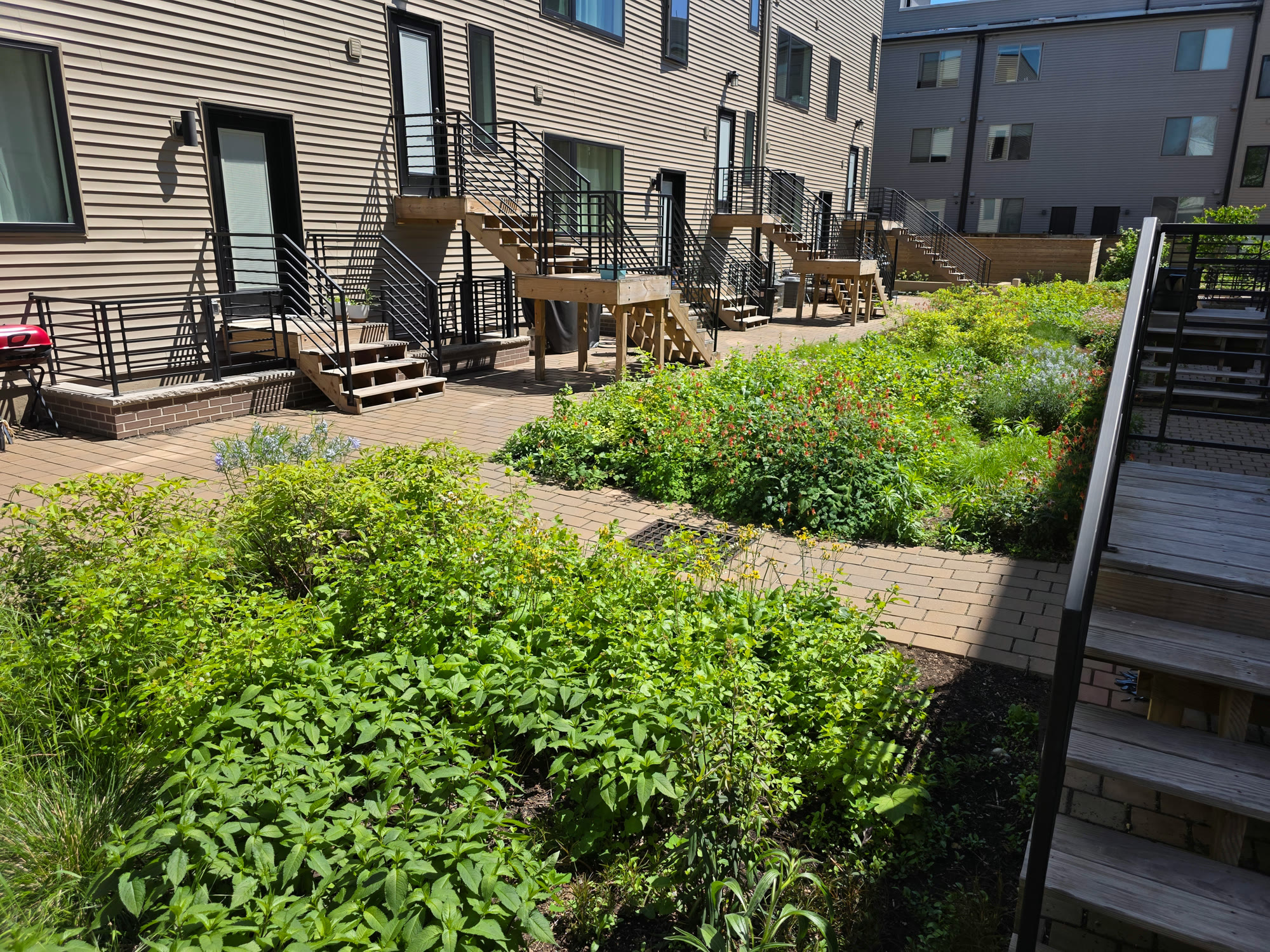 South Kensington Urban Planting