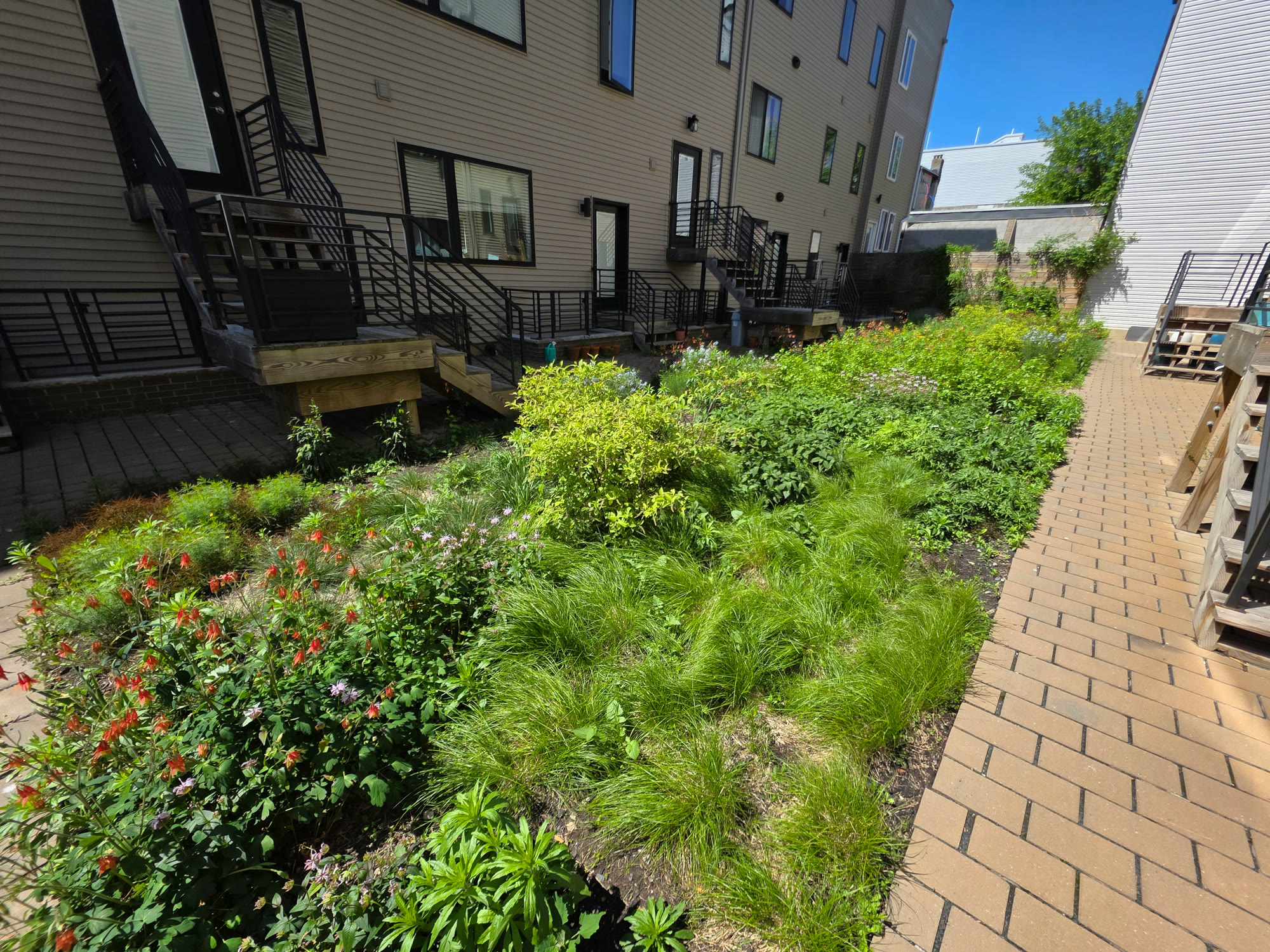 South Kensington Urban Planting