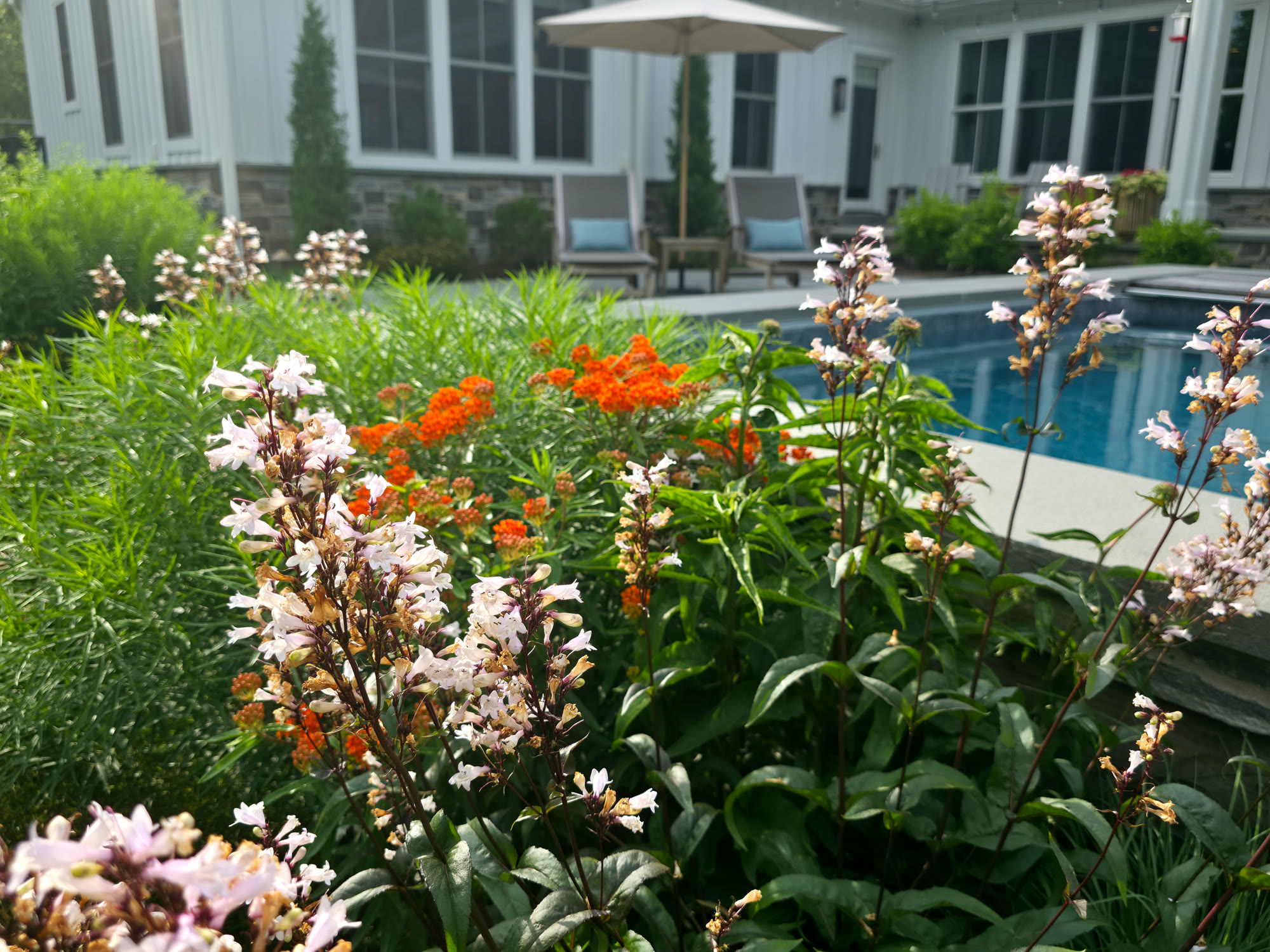 Chester County Pool & Garden
