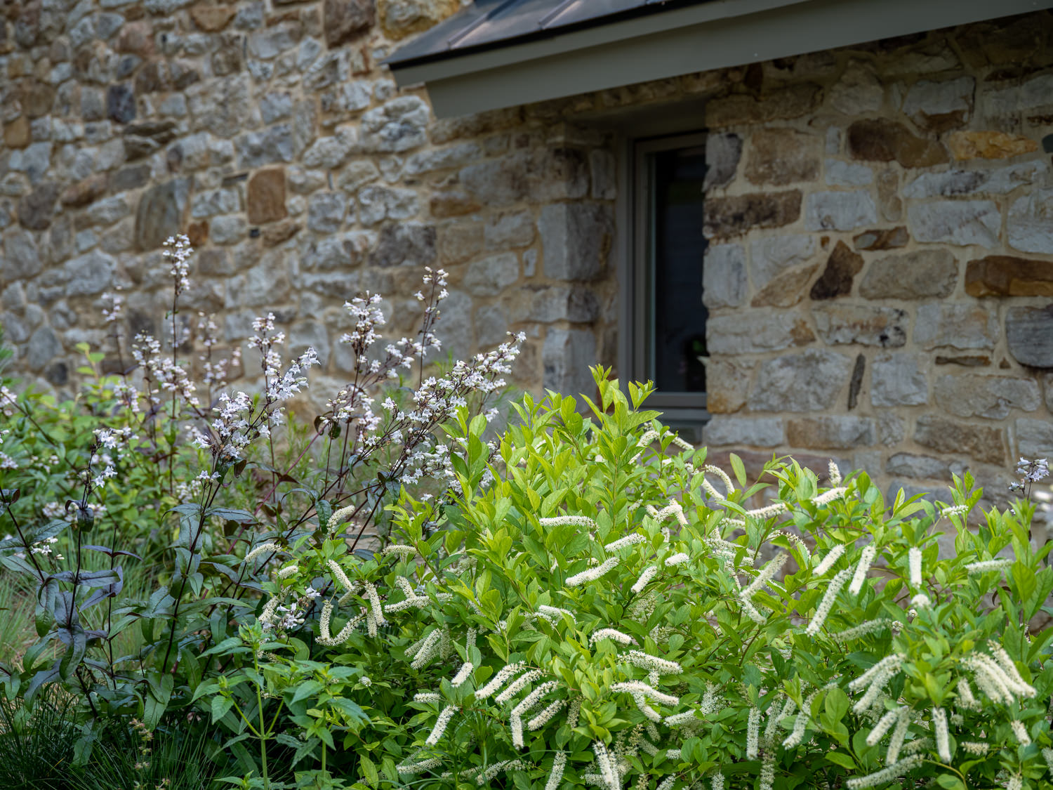 Contemporary Farmhouse — Meadow Edge